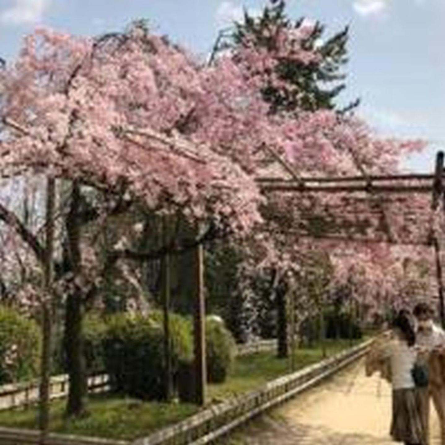 むつみ庵此花601 Lägenhet Osaka Exteriör bild